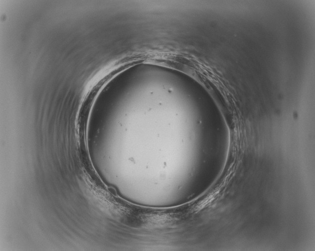 X0000057100246200509161702