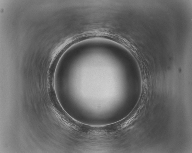 X0000057100248200509161702