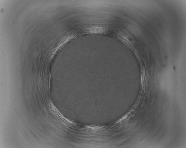 X0000057100249200509161702