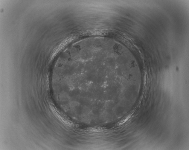 X0000057100250200509161702