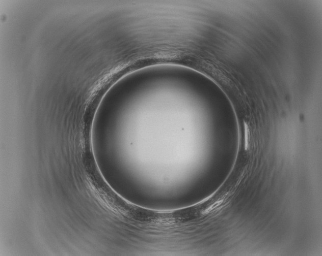 X0000057100252200509161702