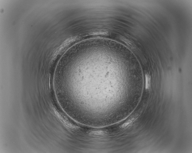 X0000057100253200509161702