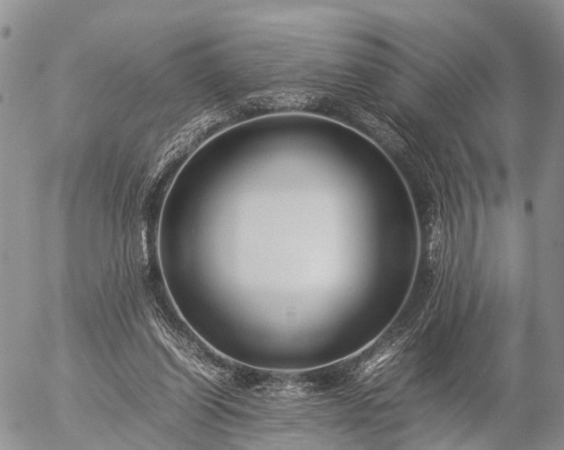 X0000057100254200509161702