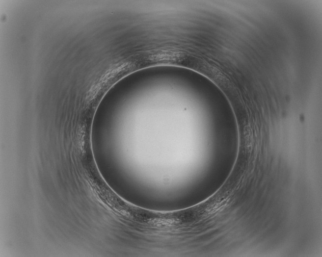 X0000057100255200509161702