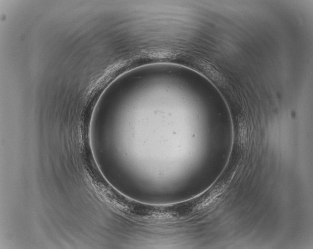 X0000057100256200509161702