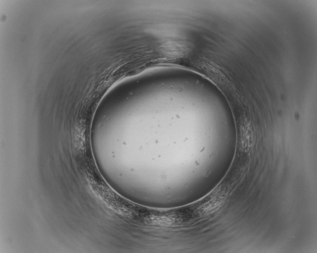 X0000057100259200509161702