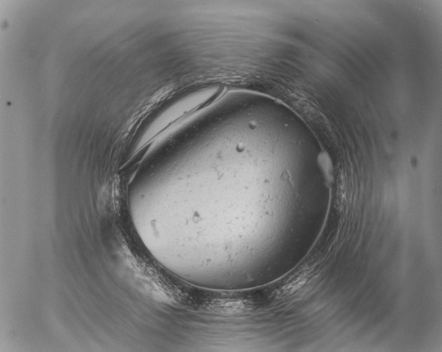 X0000057100260200509161702