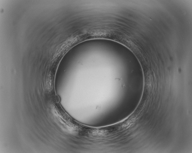 X0000057100261200509161702