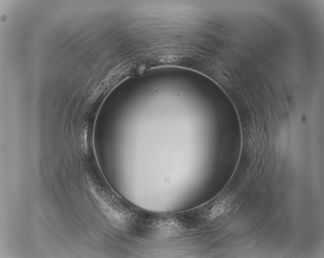 X0000057100262200509161702