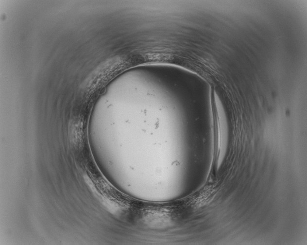 X0000057100263200509161702