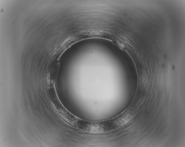 X0000057100264200509161702