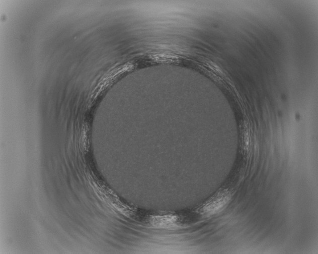 X0000057100266200509161702