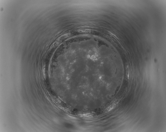 X0000057100267200509161702