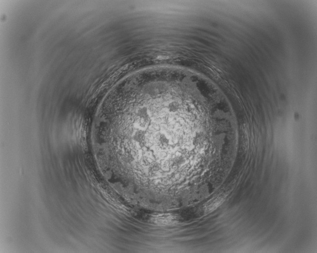 X0000057100269200509161702