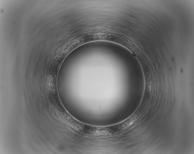 X0000057100270200509161702