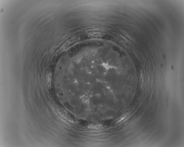 X0000057100271200509161702