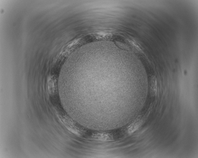 X0000057100276200509161702