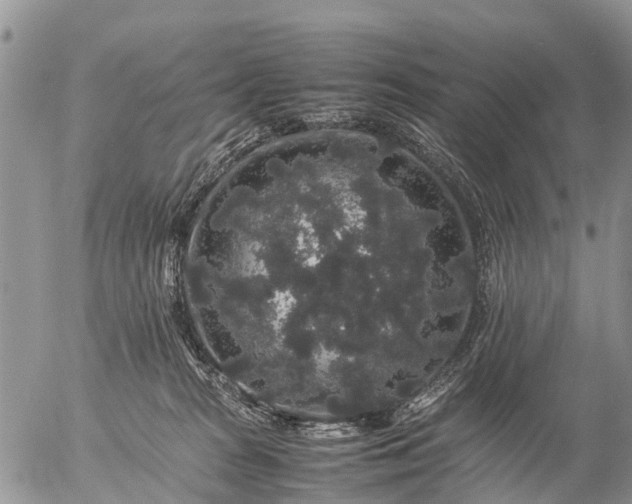 X0000057100277200509161702