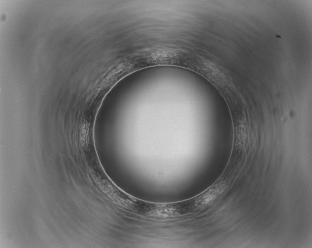 X0000057100278200509161702