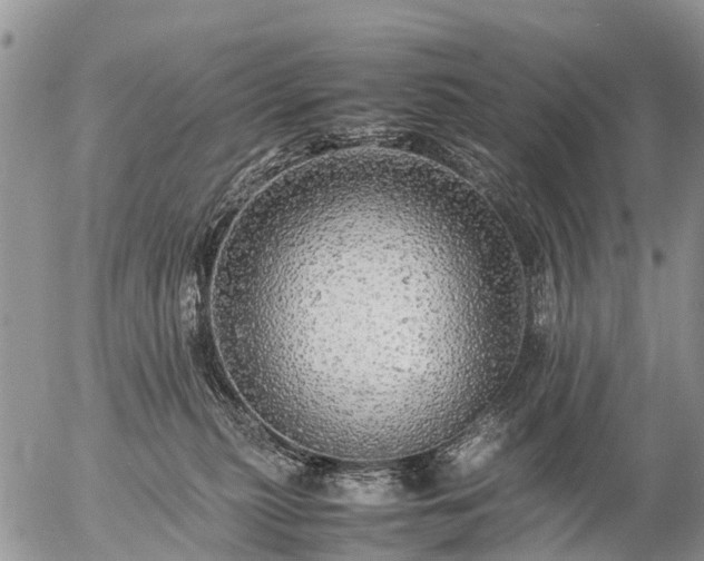 X0000057100279200509161702