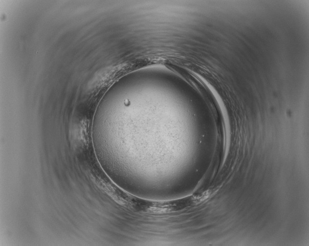 X0000057100280200509161702