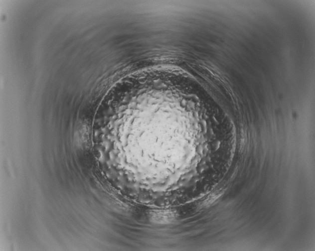 X0000057100281200509161702