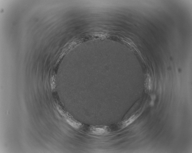 X0000057100285200509161702