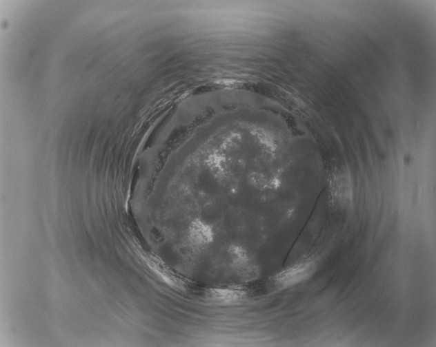 X0000057100286200509161702