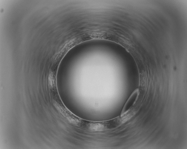 X0000057100287200509161702