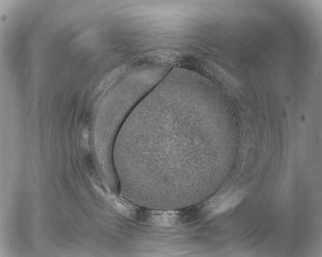 X0000057100288200509161702