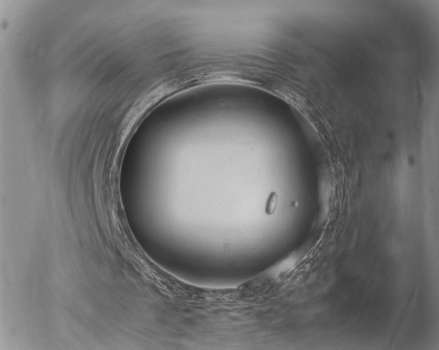 X0000057100289200509161702