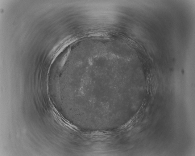 X0000057100290200509161702