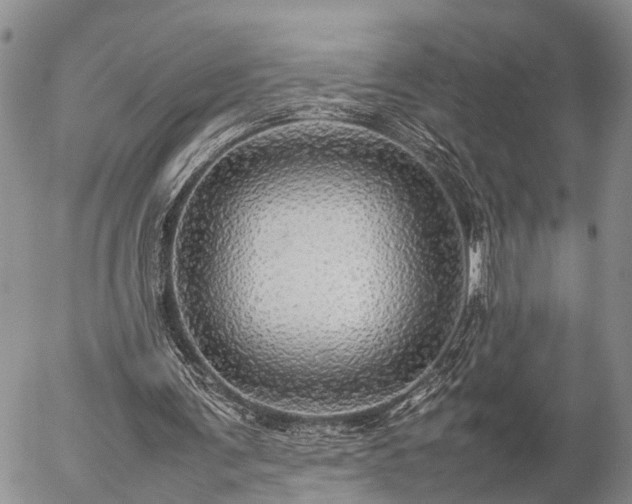 X0000057100291200509161702