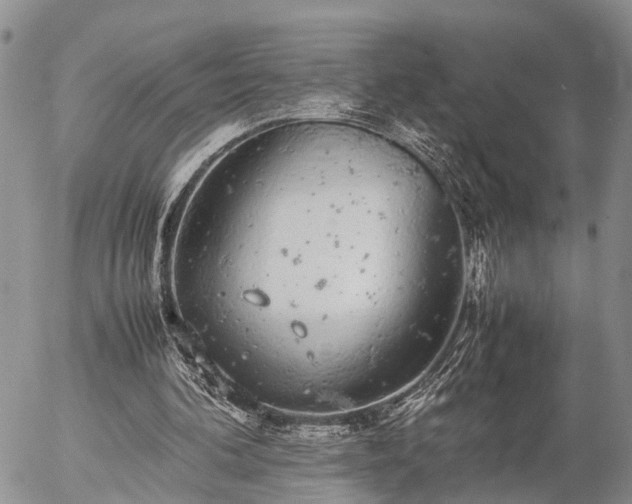 X0000057100292200509161701