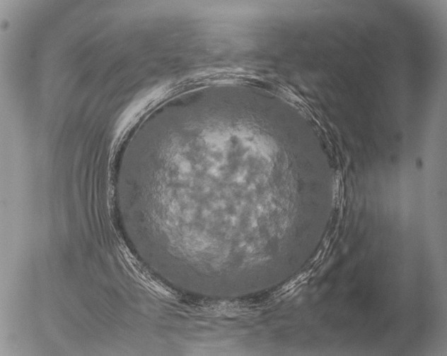 X0000057100293200509161701