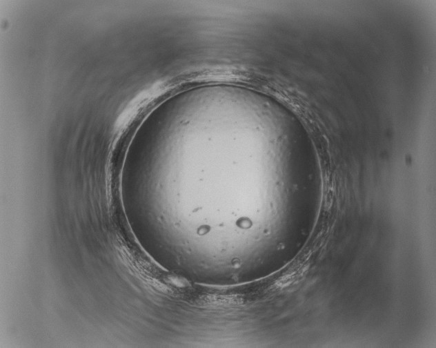 X0000057100296200509161701