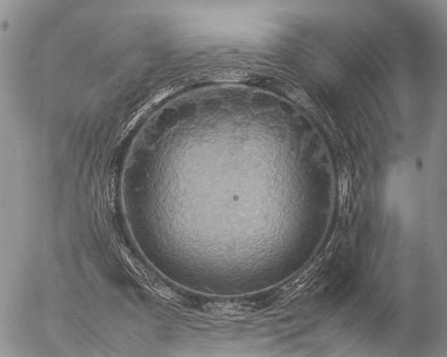 X0000057100297200509161701