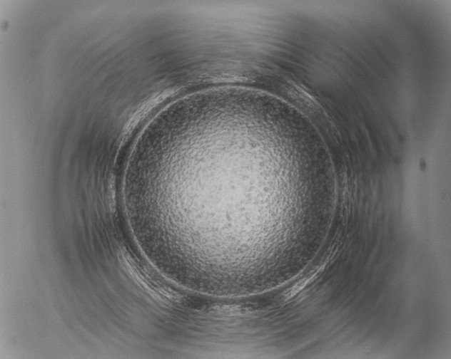 X0000057100298200509161701