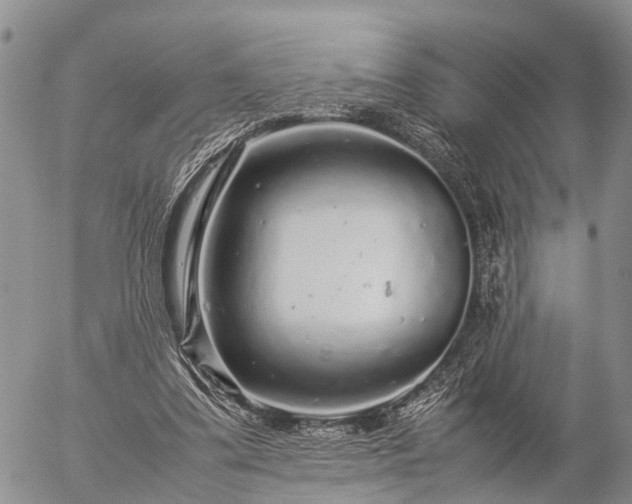 X0000057100299200509161701