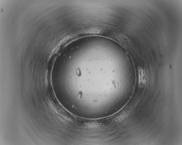 X0000057100300200509161701