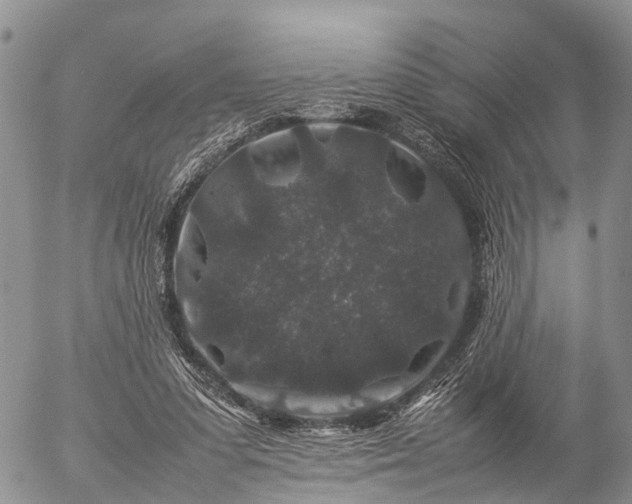 X0000057100303200509161701