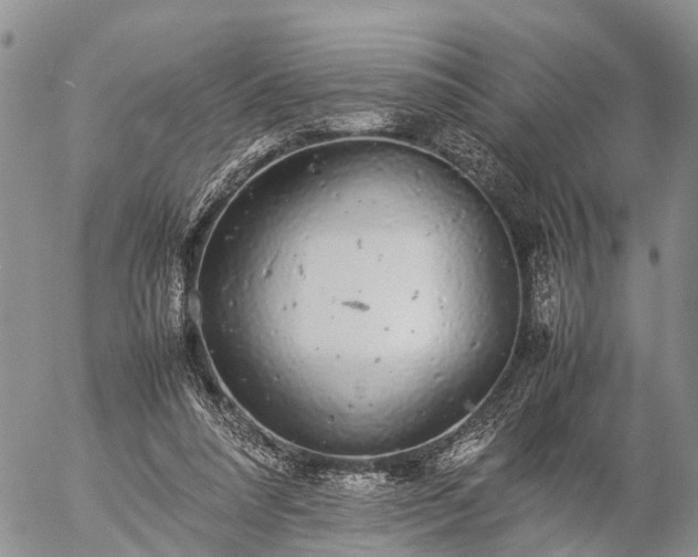 X0000057100304200509161701