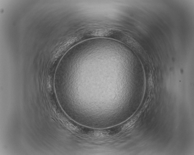 X0000057100305200509161701