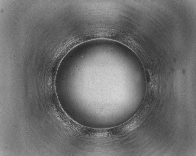 X0000057100306200509161701