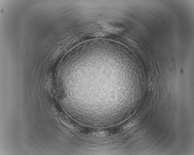 X0000057100307200509161701