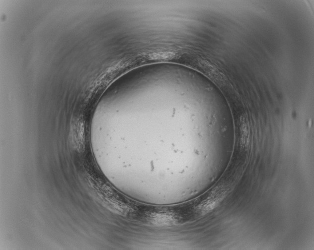 X0000057100308200509161701