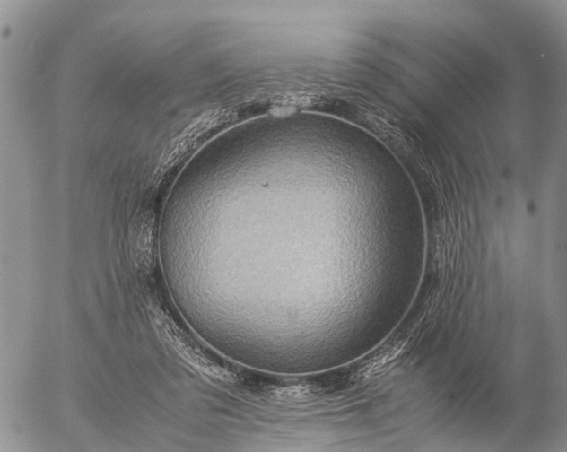 X0000057100309200509161701