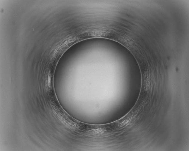 X0000057100310200509161701