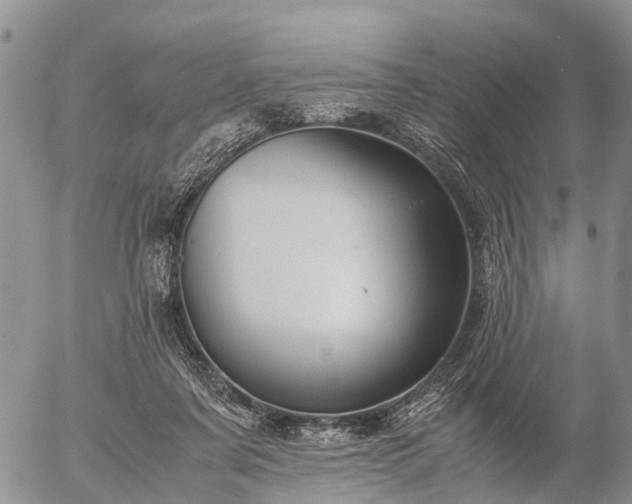 X0000057100311200509161701