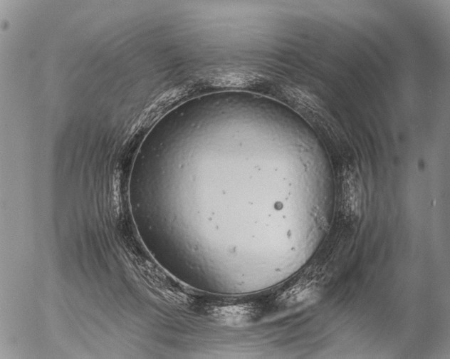 X0000057100312200509161701